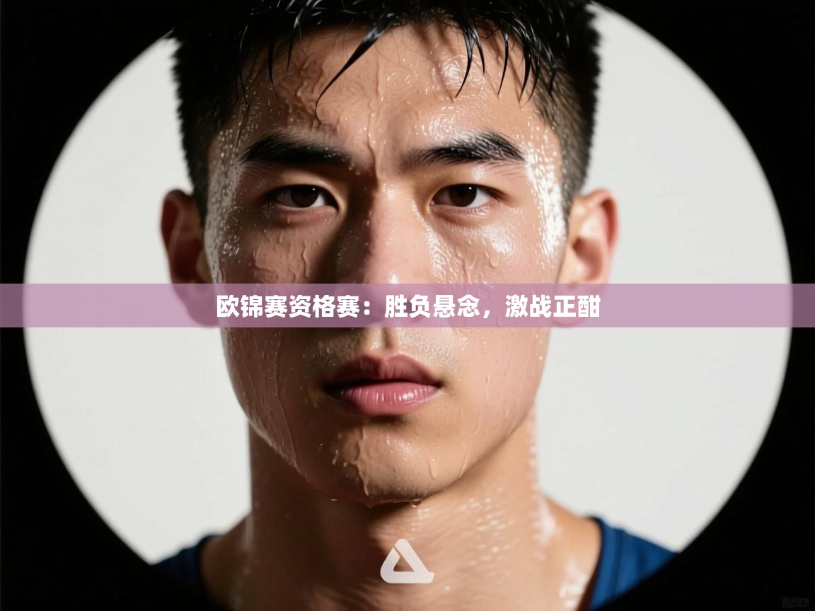 开云体育iOS安装教程-欧锦赛资格赛:胜负悬念,激战正酣 第4张